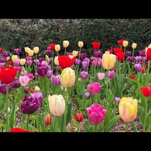 Meet your Posher, Sherry